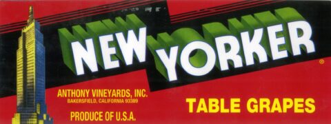 New Yorker